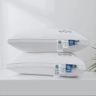 无 订单满1680元送五星酒店舒适枕芯1个